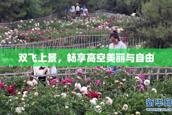 双飞上景，畅享高空美丽与自由