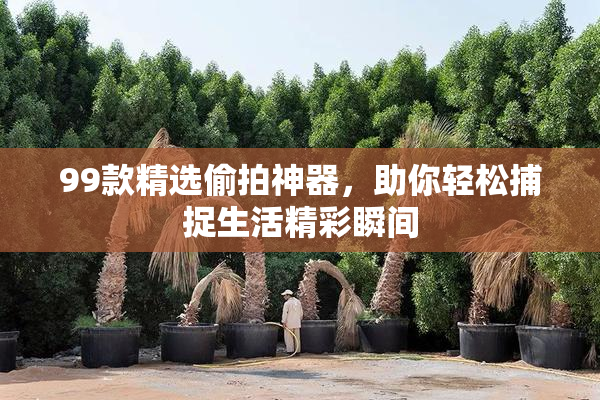 99款精选偷拍神器，助你轻松捕捉生活精彩瞬间