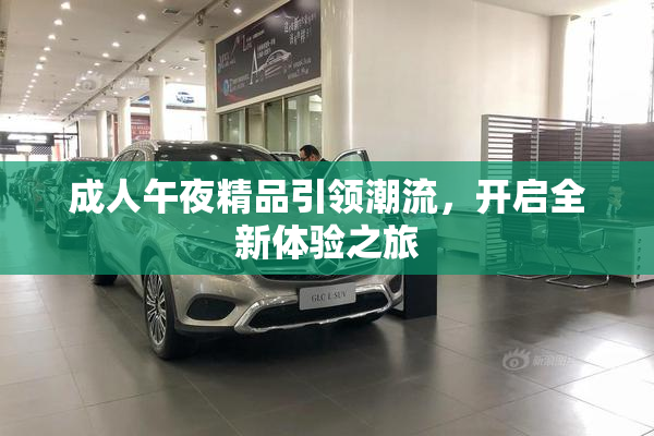 成人午夜精品引领潮流，开启全新体验之旅