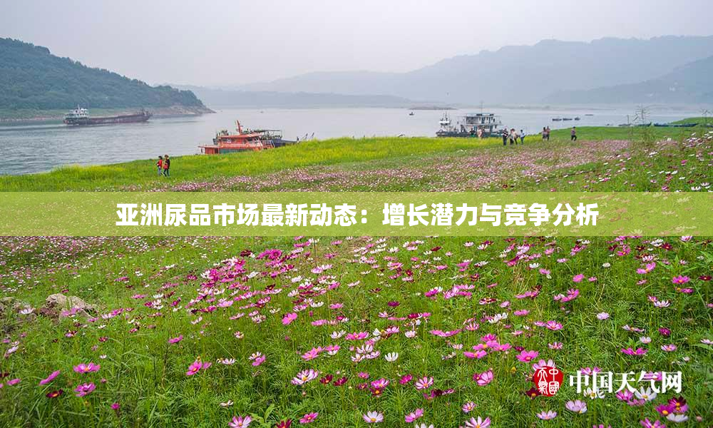 亚洲尿品市场最新动态：增长潜力与竞争分析