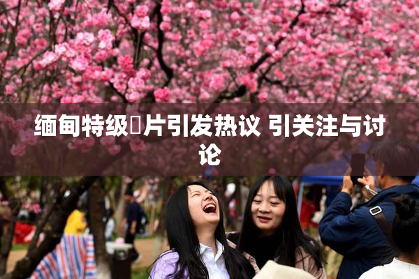 缅甸特级婬片引发热议 引关注与讨论