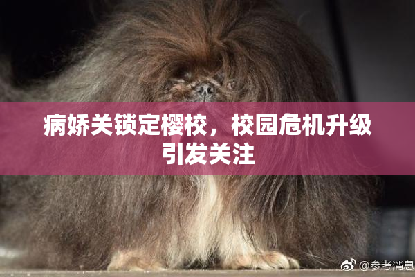 病娇关锁定樱校，校园危机升级引发关注
