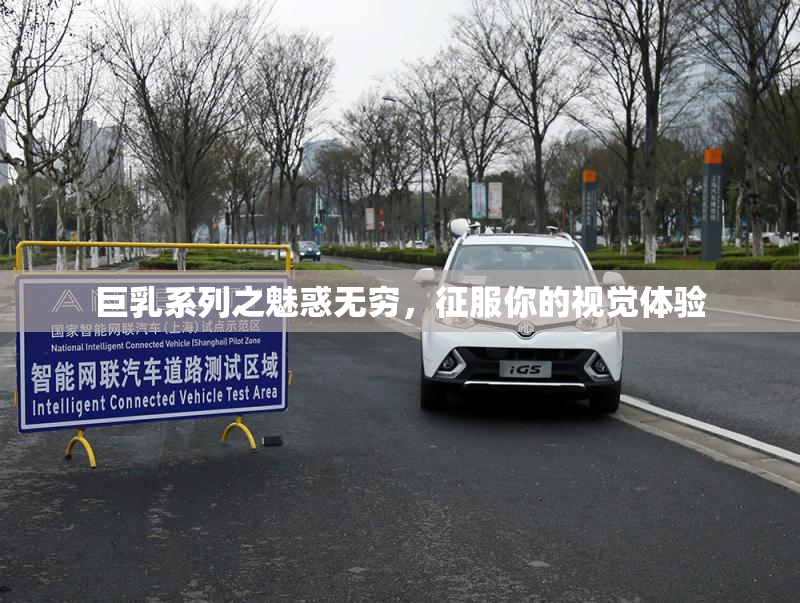 巨乳系列之魅惑无穷，征服你的视觉体验