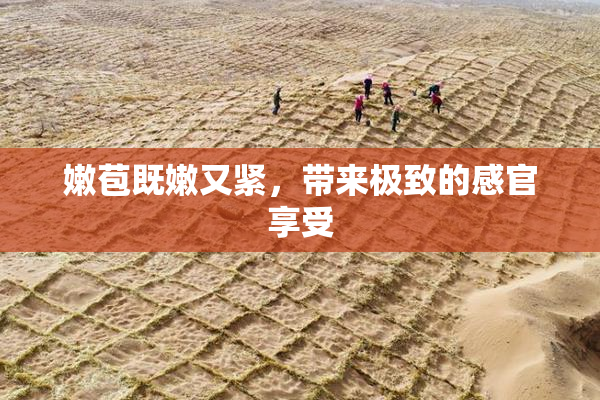 嫩苞既嫩又紧，带来极致的感官享受