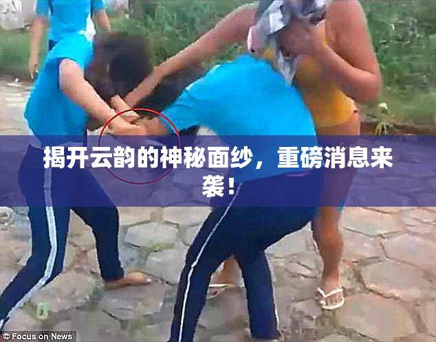 揭开云韵的神秘面纱，重磅消息来袭！