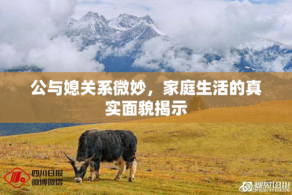 公与媳关系微妙，家庭生活的真实面貌揭示