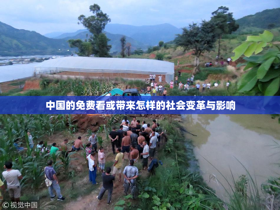 中国的免费看或带来怎样的社会变革与影响