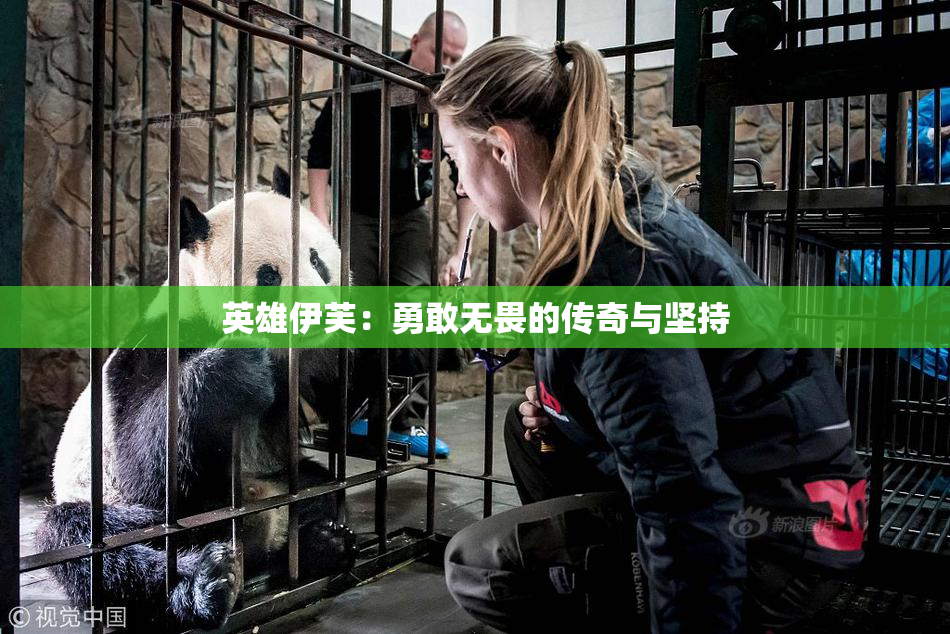英雄伊芙：勇敢无畏的传奇与坚持