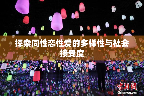 探索同性恋性爱的多样性与社会接受度