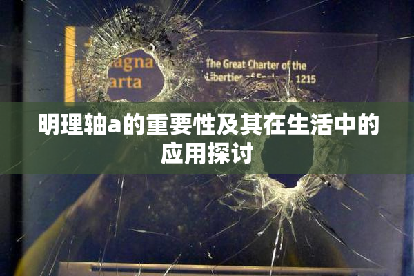 明理轴a的重要性及其在生活中的应用探讨