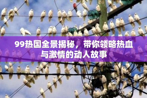 99热国全景揭秘，带你领略热血与激情的动人故事