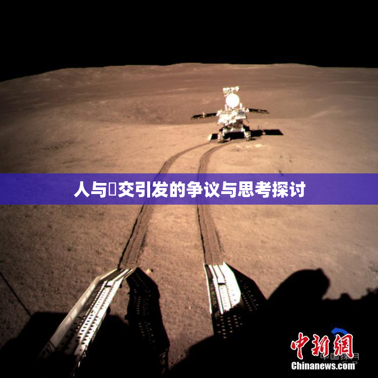 人与嘼交引发的争议与思考探讨