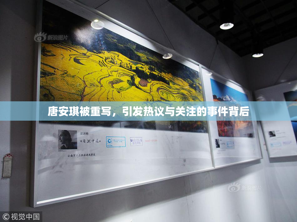 唐安琪被重写，引发热议与关注的事件背后