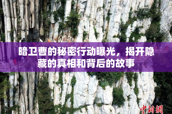 暗卫曹的秘密行动曝光，揭开隐藏的真相和背后的故事