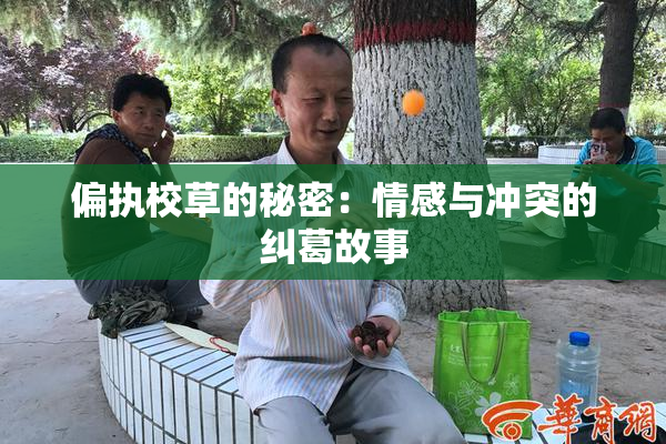 偏执校草的秘密：情感与冲突的纠葛故事