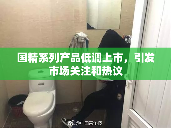 国精系列产品低调上市，引发市场关注和热议