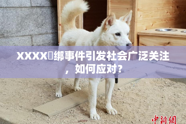 XXXX秵绑事件引发社会广泛关注，如何应对？