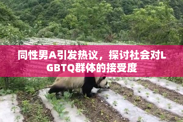 同性男A引发热议，探讨社会对LGBTQ群体的接受度