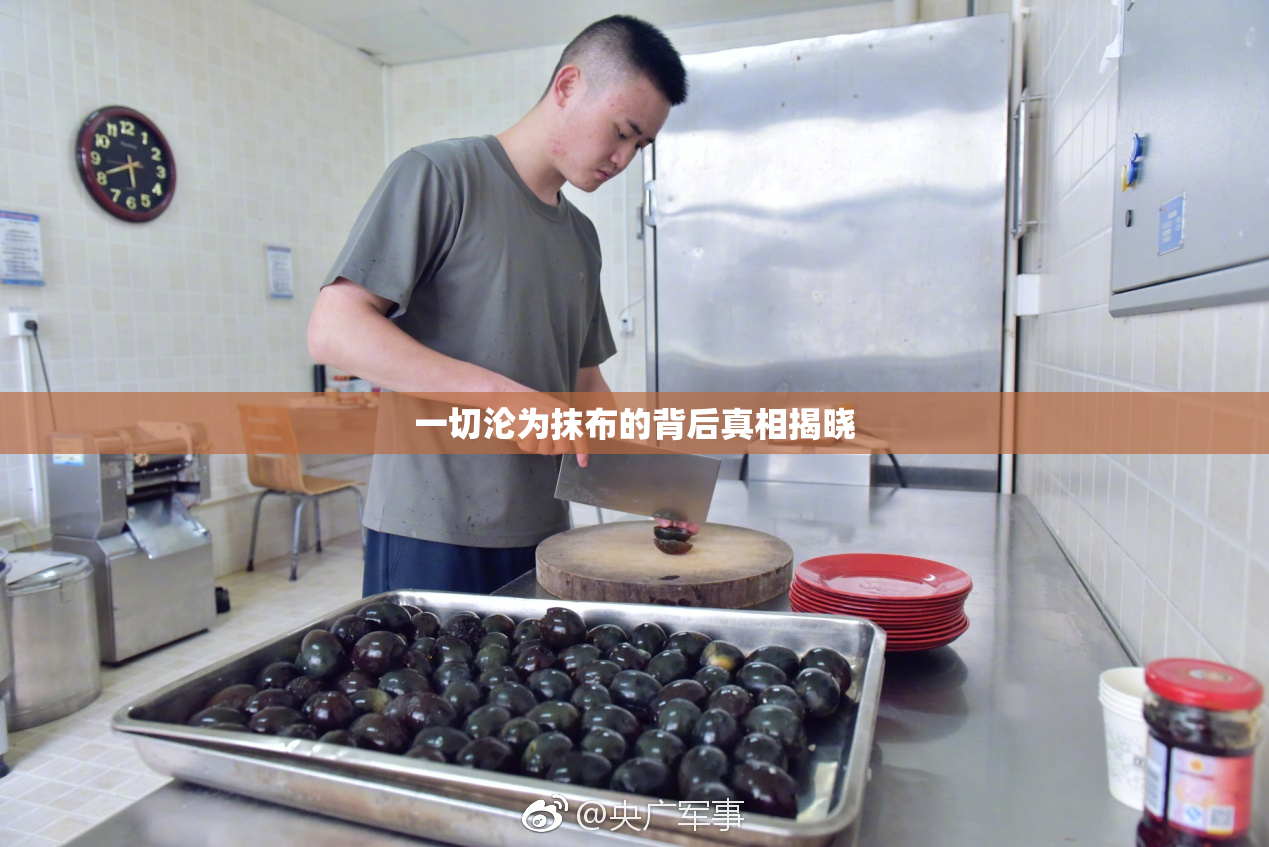 一切沦为抹布的背后真相揭晓