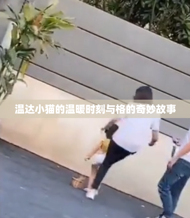 温达小猫的温暖时刻与格的奇妙故事