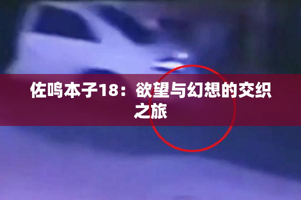 佐鸣本子18：欲望与幻想的交织之旅