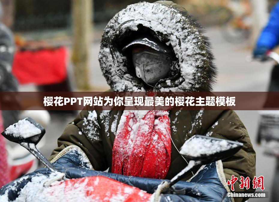 樱花PPT网站为你呈现最美的樱花主题模板
