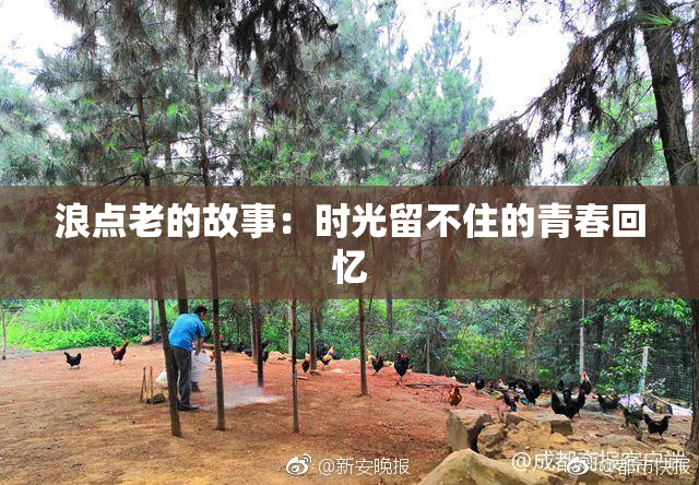 浪点老的故事：时光留不住的青春回忆
