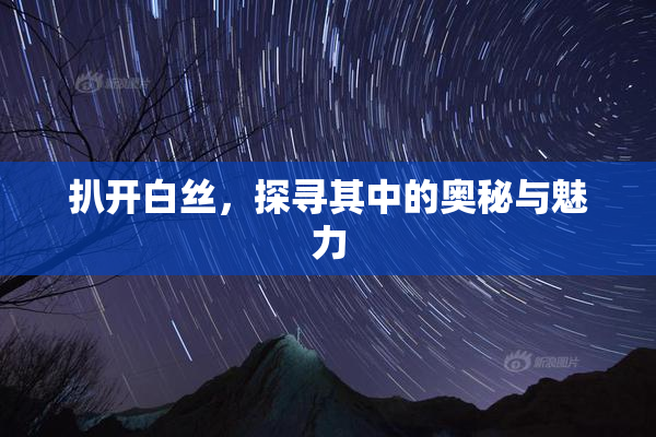 扒开白丝，探寻其中的奥秘与魅力