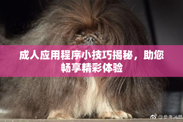 成人应用程序小技巧揭秘，助您畅享精彩体验