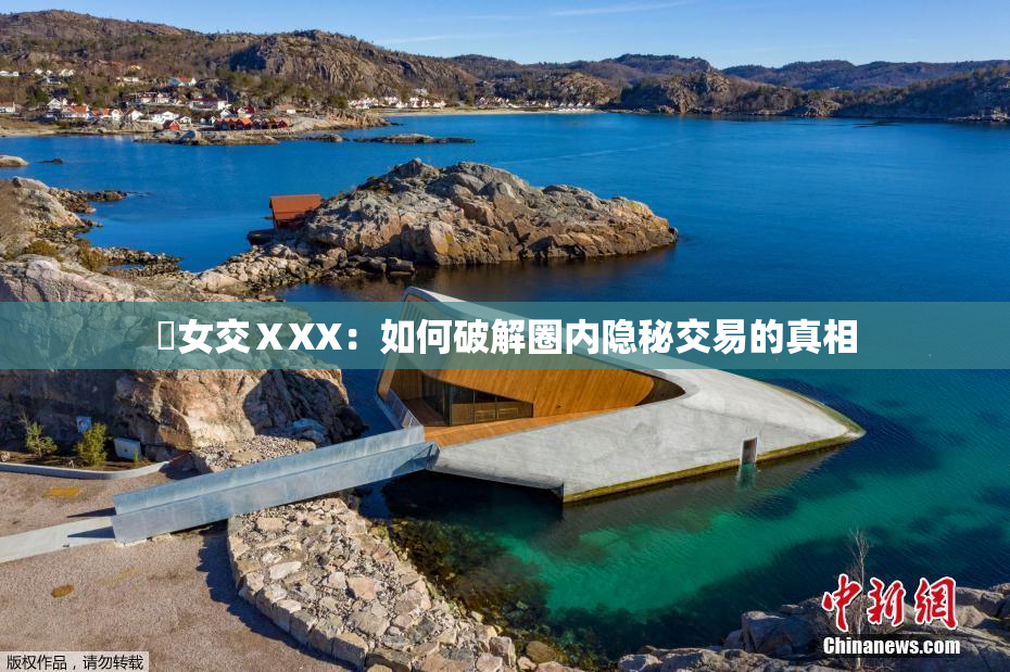 乣女交ⅩXX：如何破解圈内隐秘交易的真相