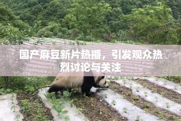 国产麻豆新片热播，引发观众热烈讨论与关注