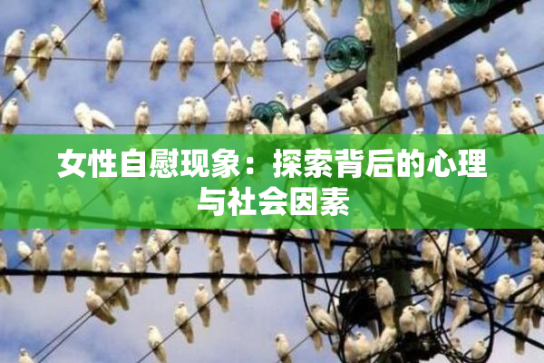 女性自慰现象：探索背后的心理与社会因素