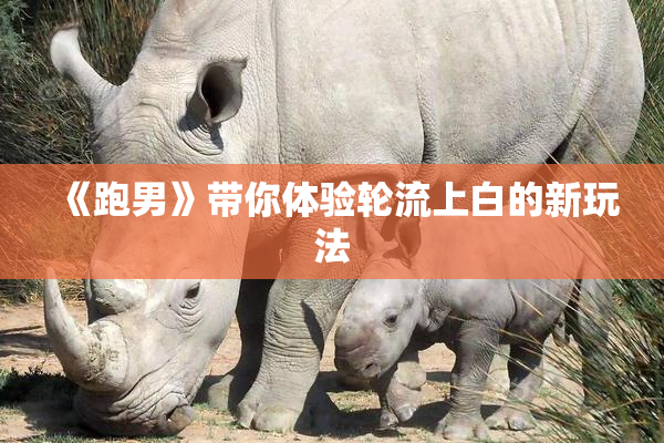 《跑男》带你体验轮流上白的新玩法