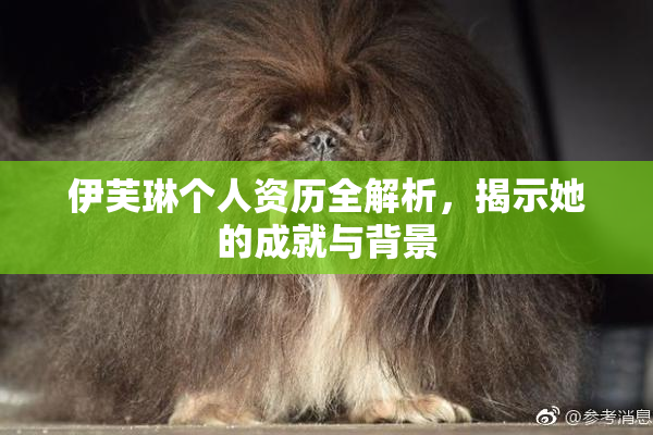 伊芙琳个人资历全解析，揭示她的成就与背景