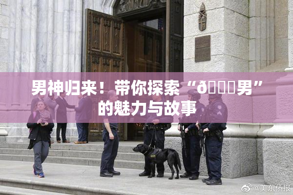 男神归来！带你探索“😚男”的魅力与故事