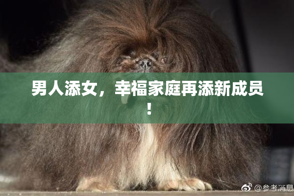 男人添女，幸福家庭再添新成员！