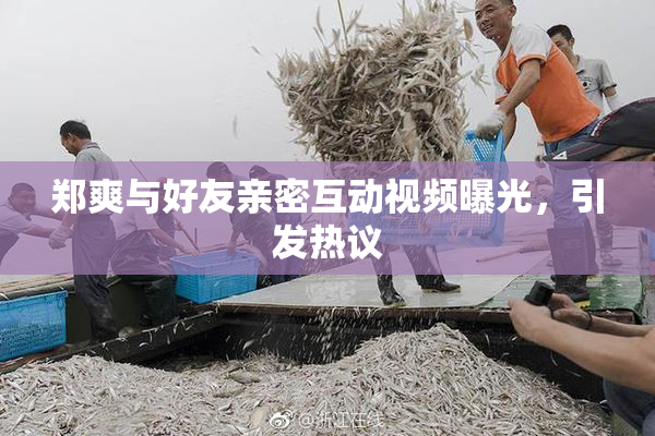 郑爽与好友亲密互动视频曝光，引发热议