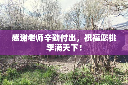 感谢老师辛勤付出，祝福您桃李满天下！
