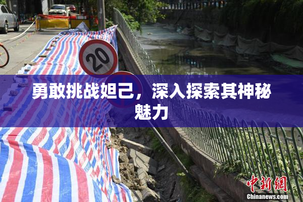 勇敢挑战妲己，深入探索其神秘魅力