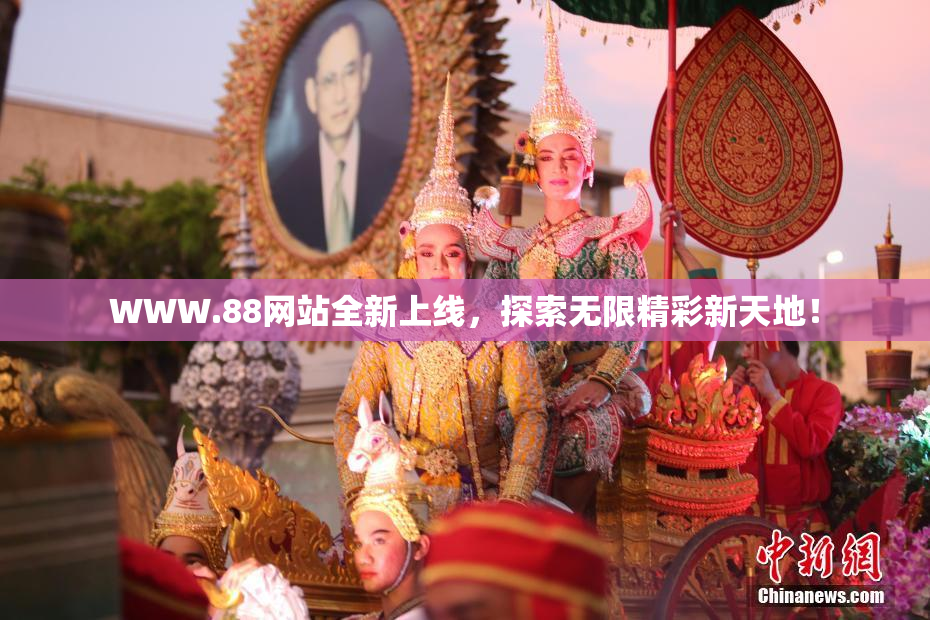 WWW.88网站全新上线，探索无限精彩新天地！