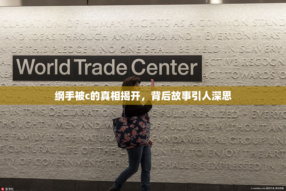 纲手被c的真相揭开，背后故事引人深思