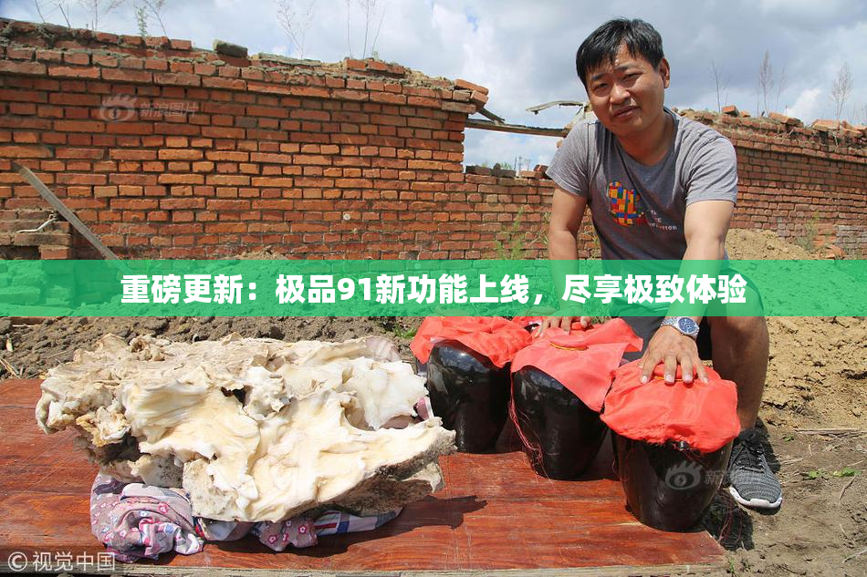重磅更新：极品91新功能上线，尽享极致体验
