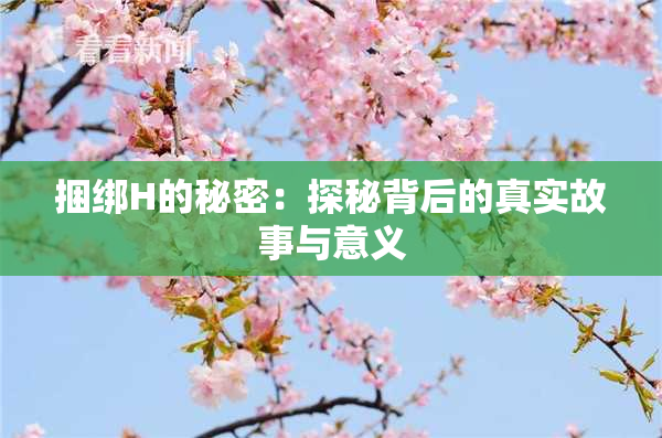 捆绑H的秘密：探秘背后的真实故事与意义
