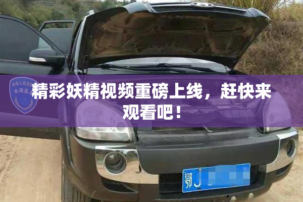 精彩妖精视频重磅上线，赶快来观看吧！