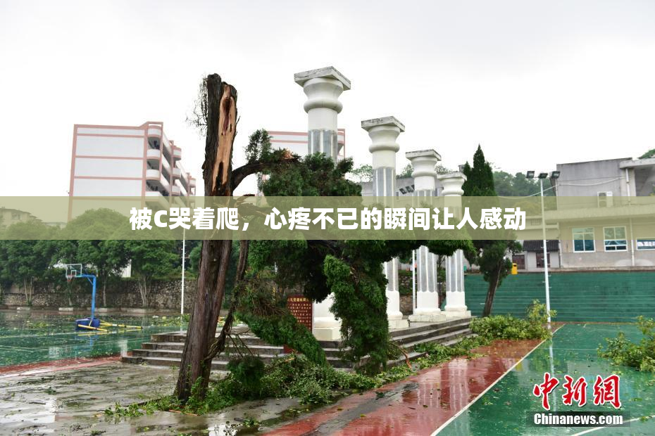 被C哭着爬，心疼不已的瞬间让人感动