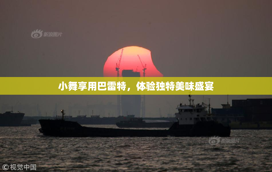 小舞享用巴雷特，体验独特美味盛宴