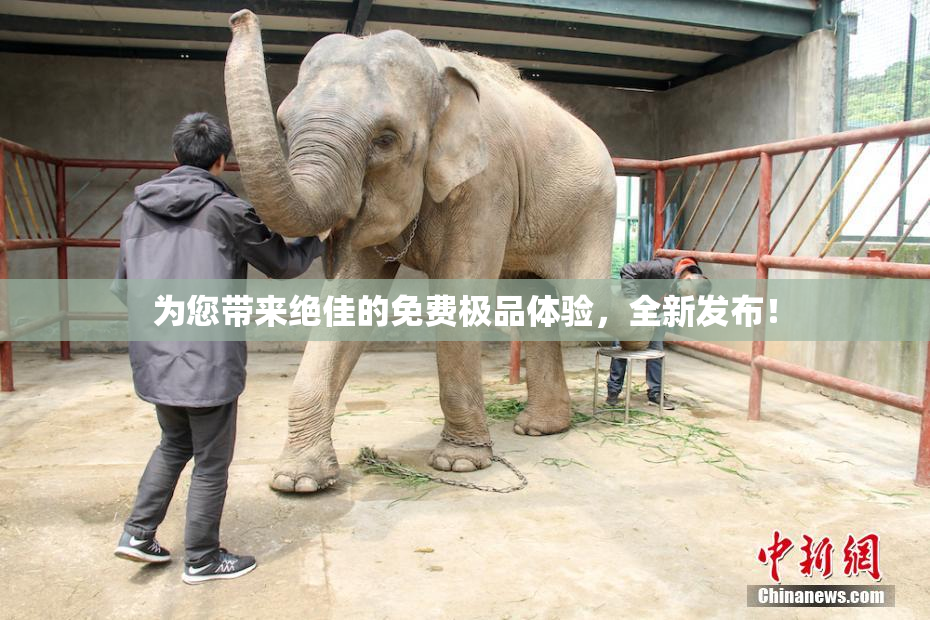 为您带来绝佳的免费极品体验，全新发布！