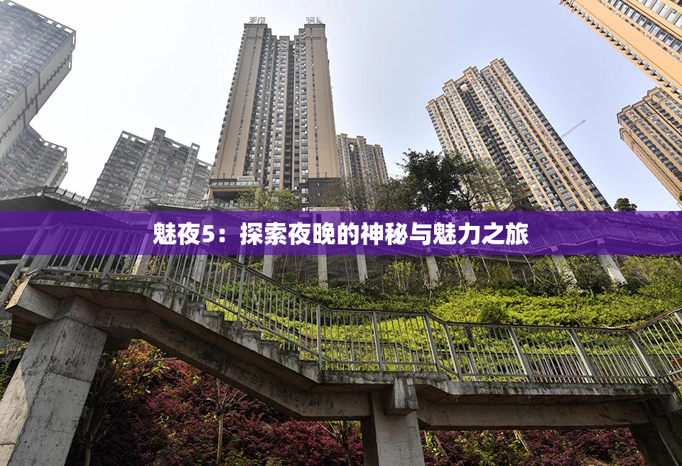 魅夜5：探索夜晚的神秘与魅力之旅