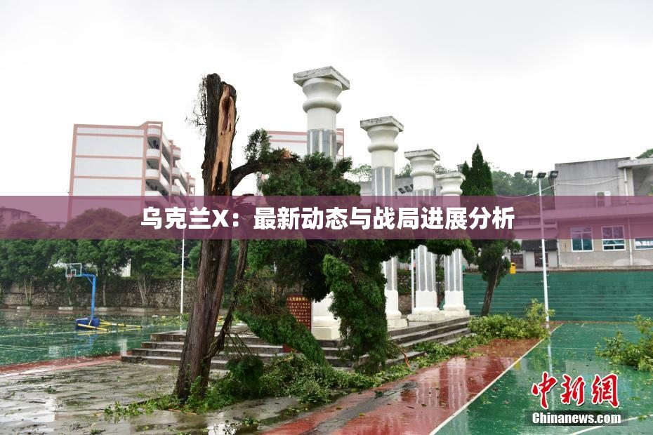 乌克兰X：最新动态与战局进展分析