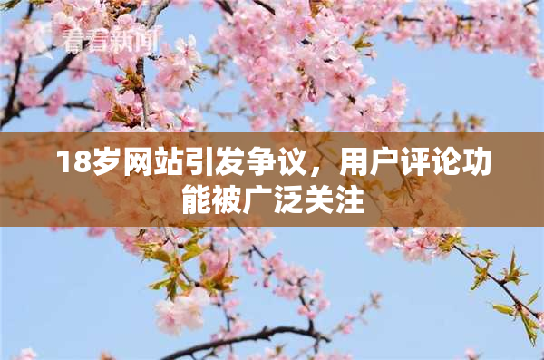 18岁网站引发争议，用户评论功能被广泛关注